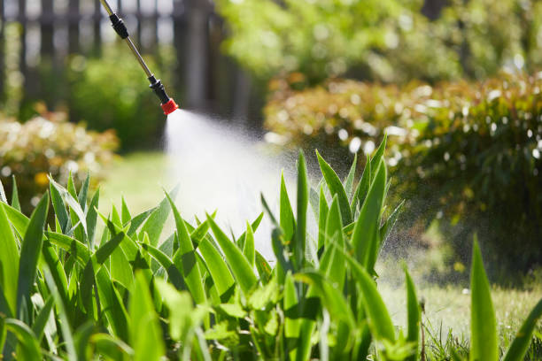24/7 Emergency Mosquito Control experts in Hernando, MS